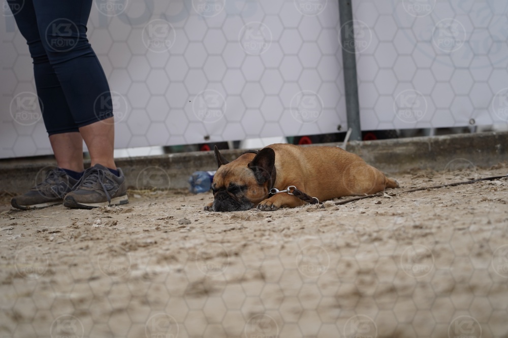 s_A7_08636.jpg